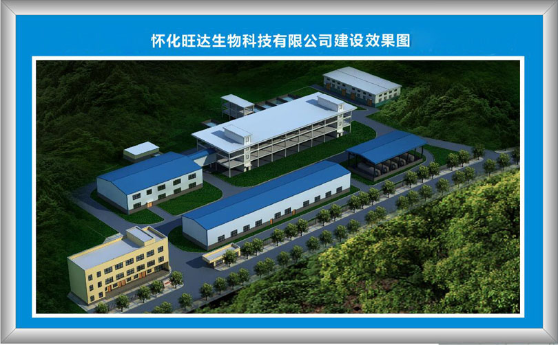 马博网页版